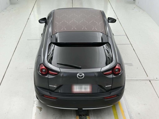 Mazda MX-30 2021 8064485-8