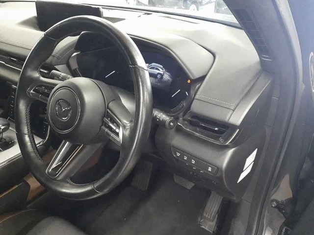 Mazda MX-30 2021 8064485-9