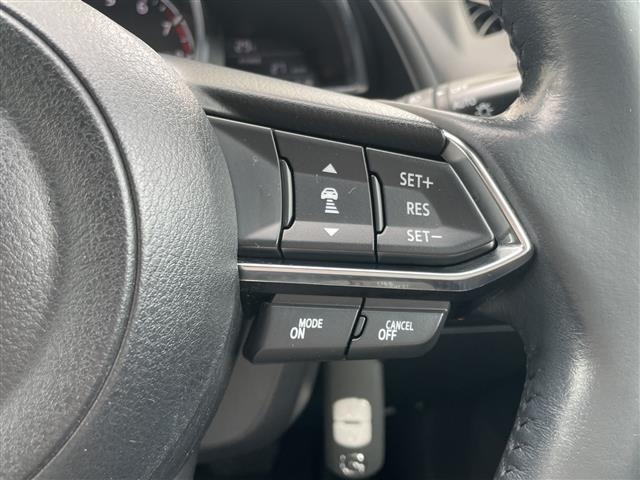 Mazda CX-3 2019 8080300-10