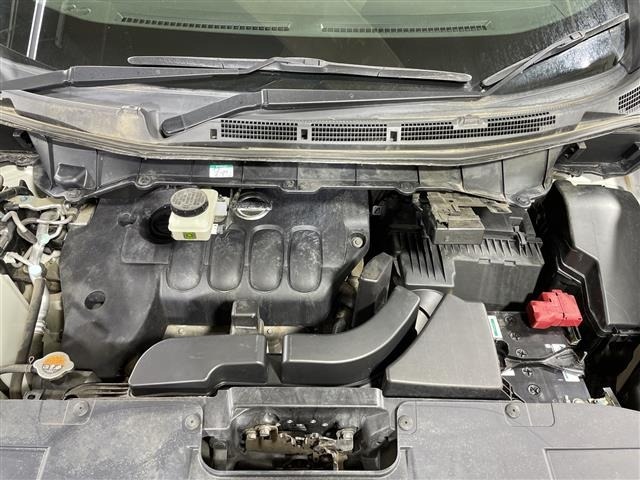 Nissan ELGRAND 2019 8080101-14