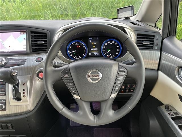 Nissan ELGRAND 2019 8080125-5