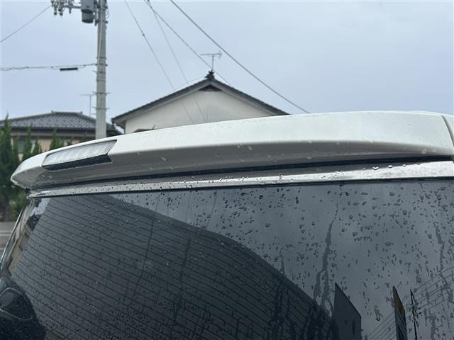 Nissan ELGRAND 2017 8080135-11