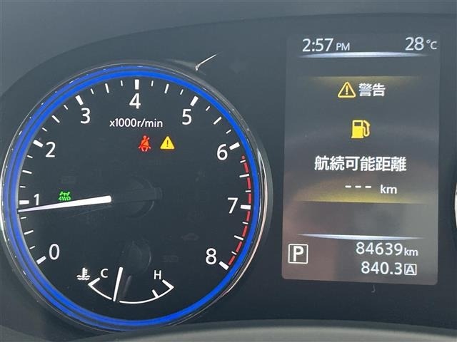 Nissan ELGRAND 2017 8080135-20