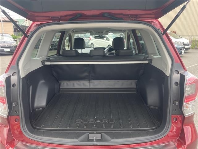 Subaru FORESTER 2018 8079790-9