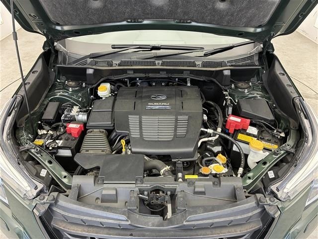 Subaru FORESTER 2022 8079794-14