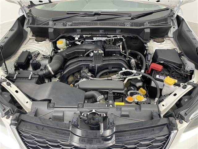 Subaru FORESTER 2019 8079799-14