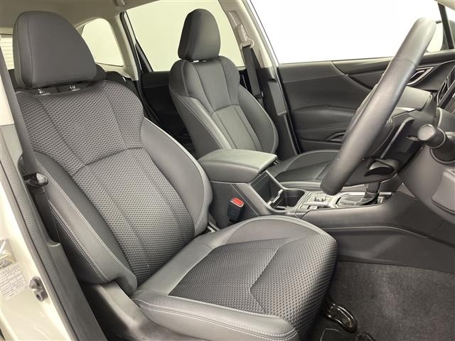 Subaru FORESTER 2019 8079799-9