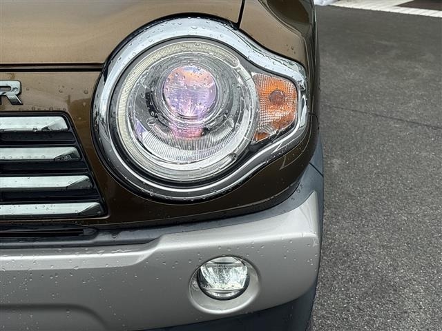Suzuki HUSTLER 2017 8084744-2