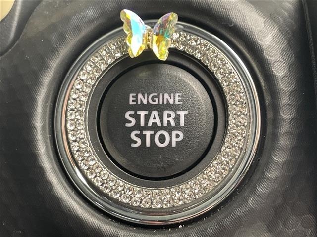 Suzuki HUSTLER 2025 8084908-9