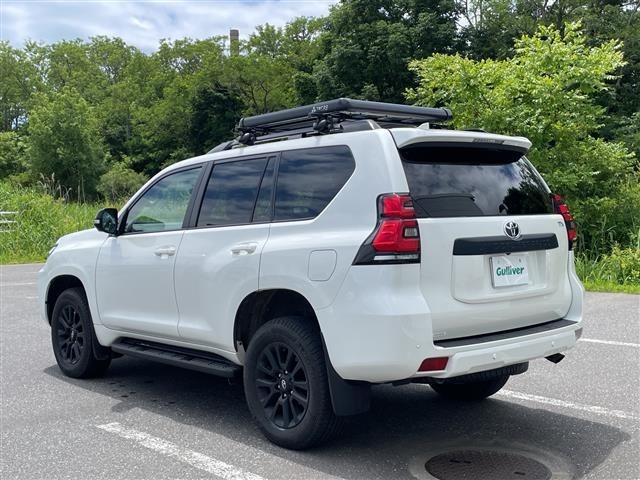 Toyota LAND CRUISER PRADO 2023 8084906-13