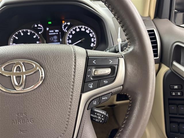 Toyota LAND CRUISER PRADO 2021 8084976-21