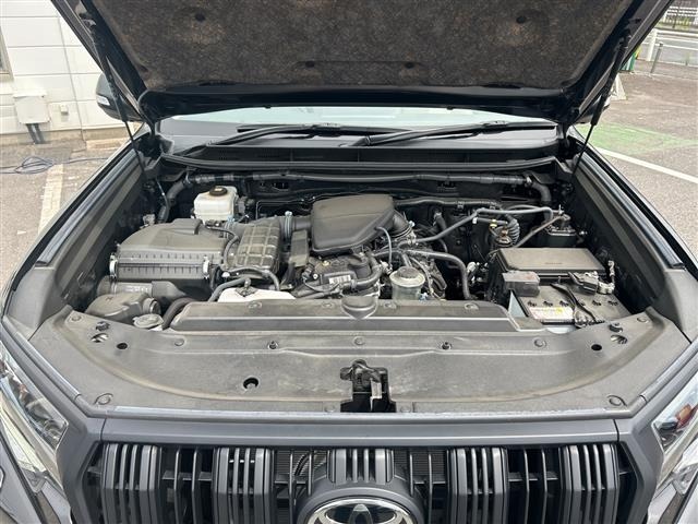 Toyota LAND CRUISER PRADO 2023 8084980-14