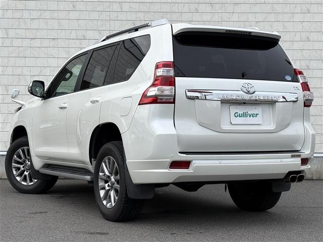 Toyota LAND CRUISER PRADO 2017 8084981-13