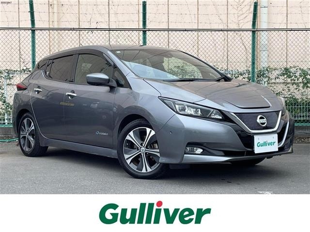 Nissan LEAF 2018 8085285-0
