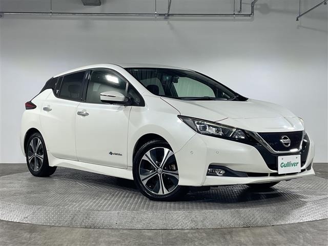 Nissan LEAF 2017 8085301-0