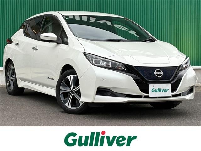 Nissan LEAF 2022 8085302-0