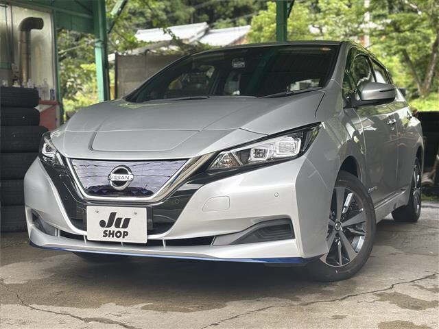 Nissan LEAF 2021 8085311-0