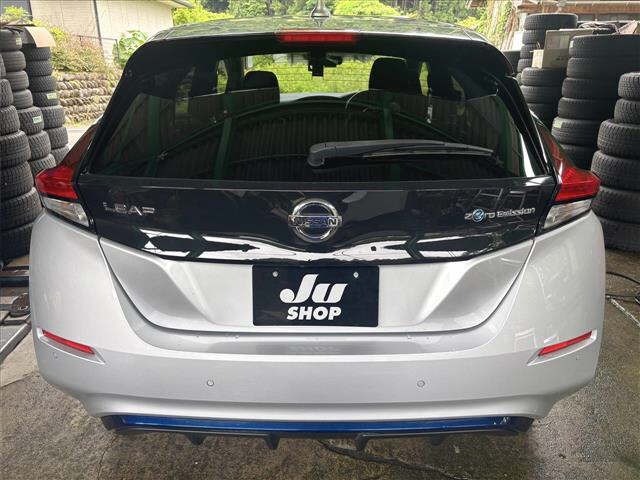 Nissan LEAF 2021 8085311-19
