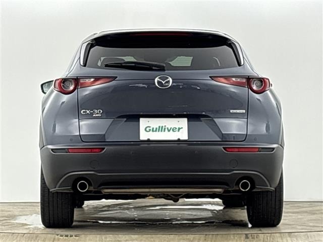 Mazda CX-30 2021 8087656-10
