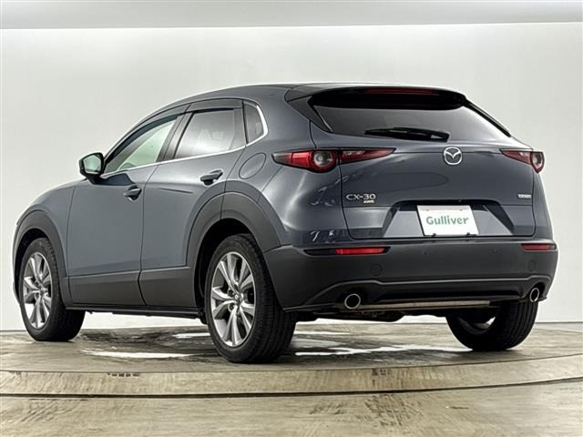 Mazda CX-30 2021 8087656-9