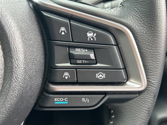 Subaru Crosstrek 2024 8104186-21