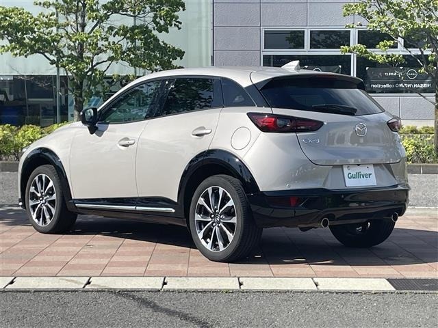 Mazda CX-3 2022 8101865-13