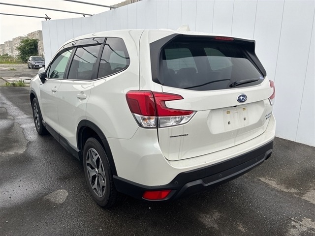 Subaru FORESTER 2021 8100229-1