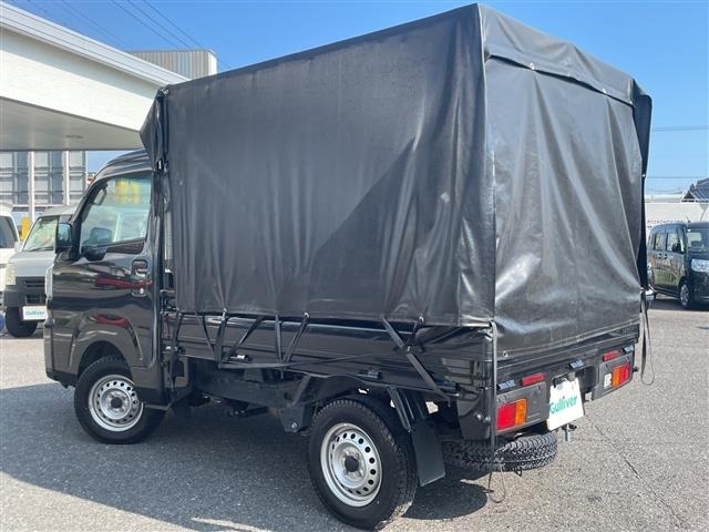 Daihatsu HIJET TRUCK 2024 8099229-13