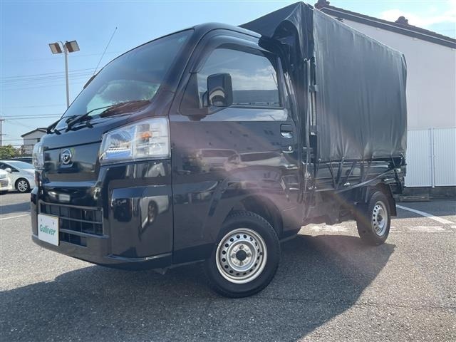 Daihatsu HIJET TRUCK 2024 8099229-17