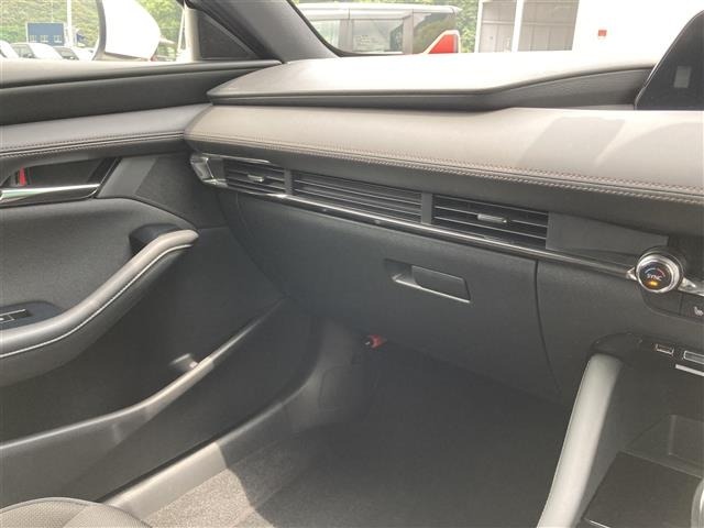 Mazda MAZDA3 2019 8096620-6