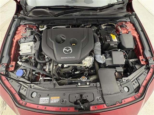 Mazda MAZDA3 2019 8096672-14