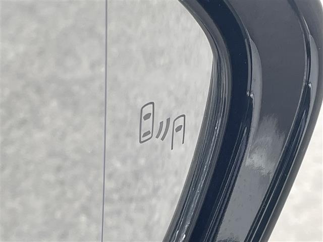 Toyota PRIUS PHV 2019 8101758-21