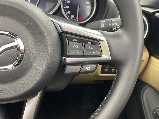 Mazda ROADSTER 2025 8103580-8