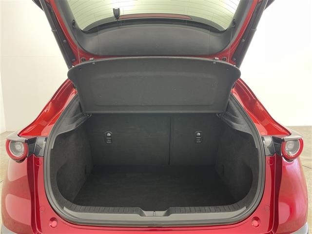Mazda CX-30 2021 8108025-10