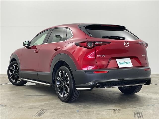 Mazda CX-30 2021 8108025-13