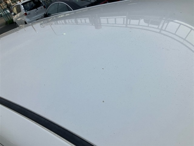Daihatsu MOVE 2019 8114589-11