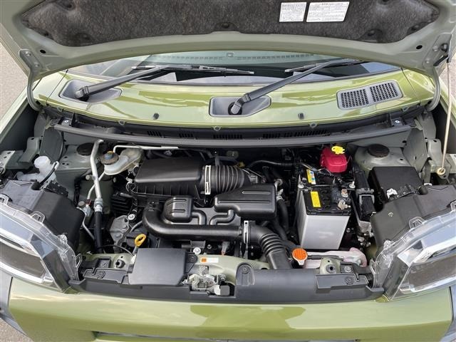 Daihatsu TAFT 2021 8108787-18