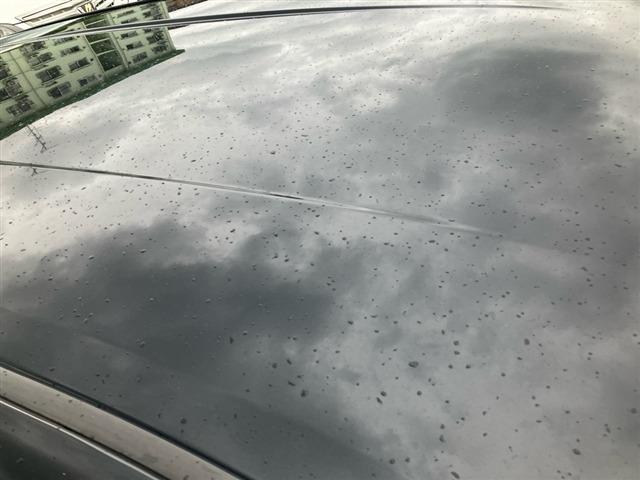 Toyota AURIS 2018 8118178-11