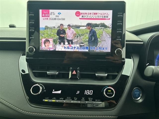 Toyota COROLLA TOURING 2021 8138119-4