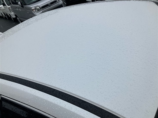 Honda GRACE 2019 8136883-10