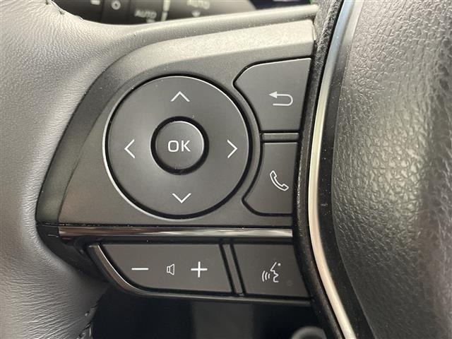 Toyota HARRIER 2023 8119101-3