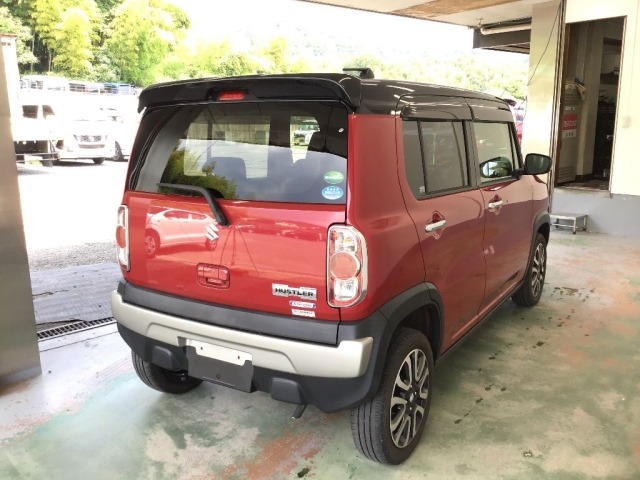 Suzuki HUSTLER 2019 8135811-4