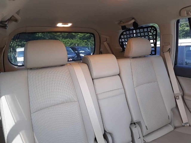 Toyota LAND CRUISER PRADO 2020 8137453-11