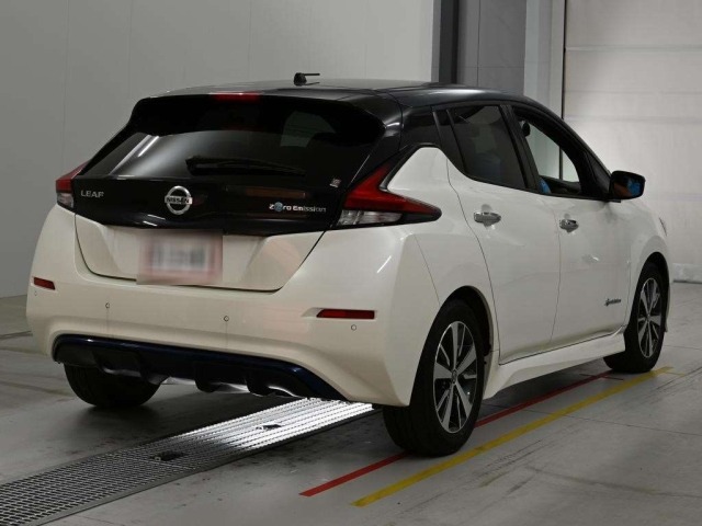 Nissan LEAF 2019 8136298-1