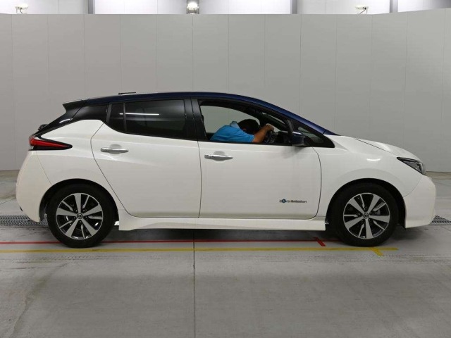 Nissan LEAF 2019 8136298-3