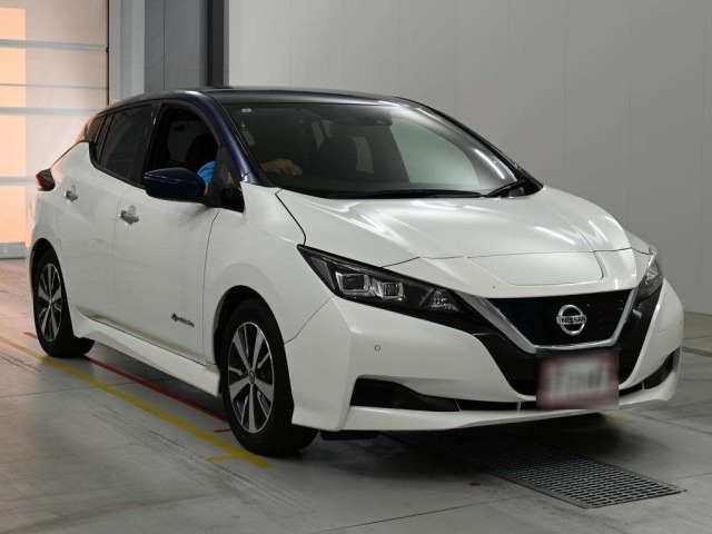 Nissan LEAF 2019 8136298-5