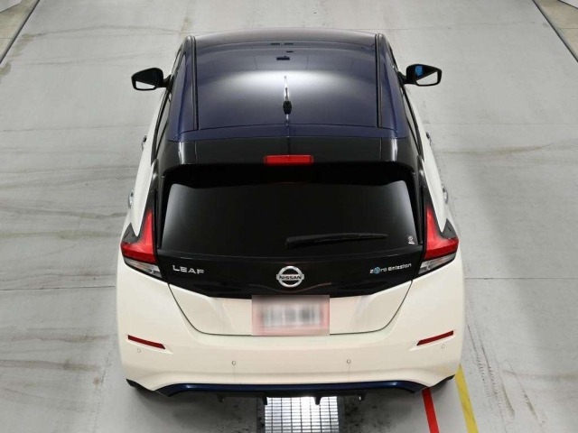 Nissan LEAF 2019 8136298-8