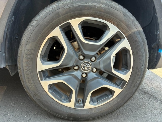 Toyota RAV4 2019 8150100-24