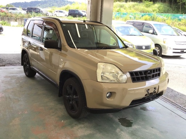 Nissan X-TRAIL 2010 8148029-3