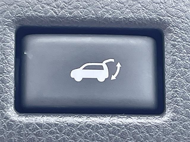 Nissan X-TRAIL 2015 8148792-19